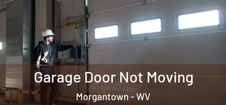  Garage Door Not Moving Morgantown - WV