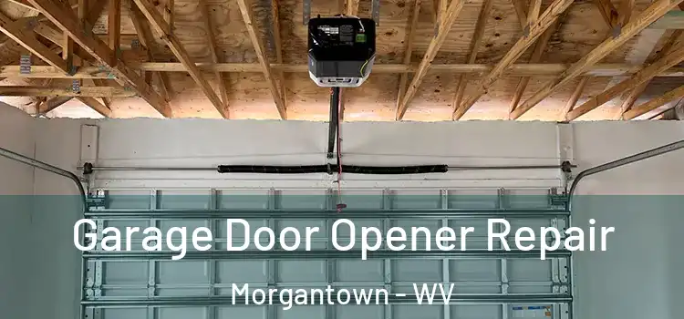 Garage Door Opener Repair Morgantown - WV