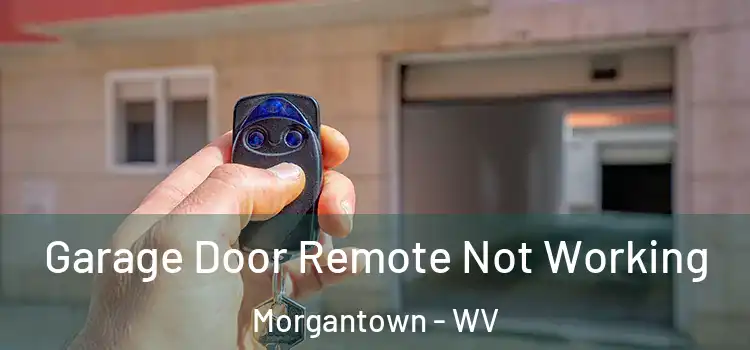  Garage Door Remote Not Working Morgantown - WV