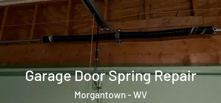 Garage Door Spring Repair Morgantown - WV