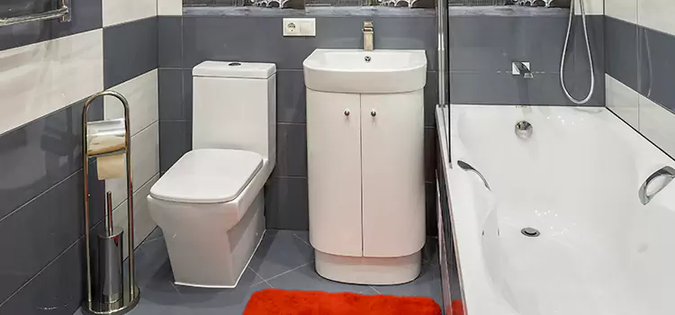 Hansgrohe Shaving Mirror Morgantown